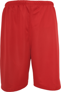 Baseball Mesh Short scarlet