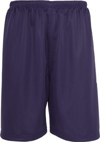 Baseball Mesh Short navy