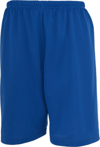 Baseball Mesh Short royal